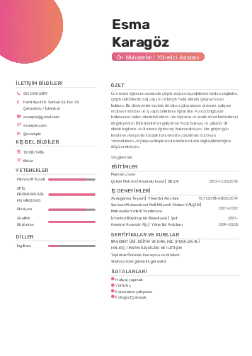 Yönetici Asistanı Cv Örnekleri cv indir